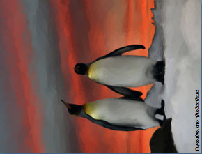 paintings-penguins9