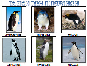 Εποπτικό υλικό σχετικά με τους πιγκουίνους για το νηπιαγωγείο